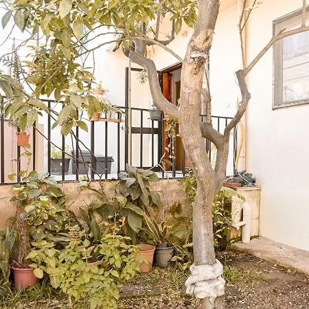 Mediterranean فيلة